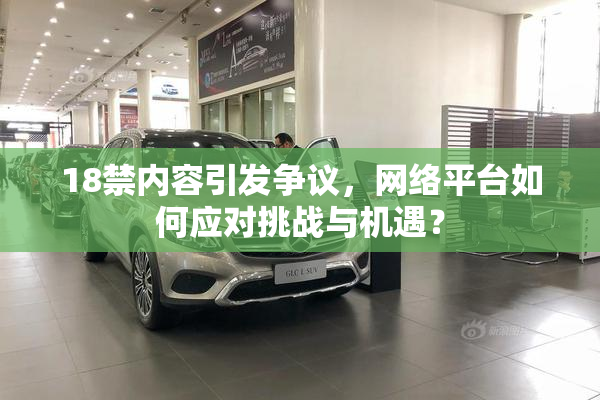 18禁内容引发争议，网络平台如何应对挑战与机遇？