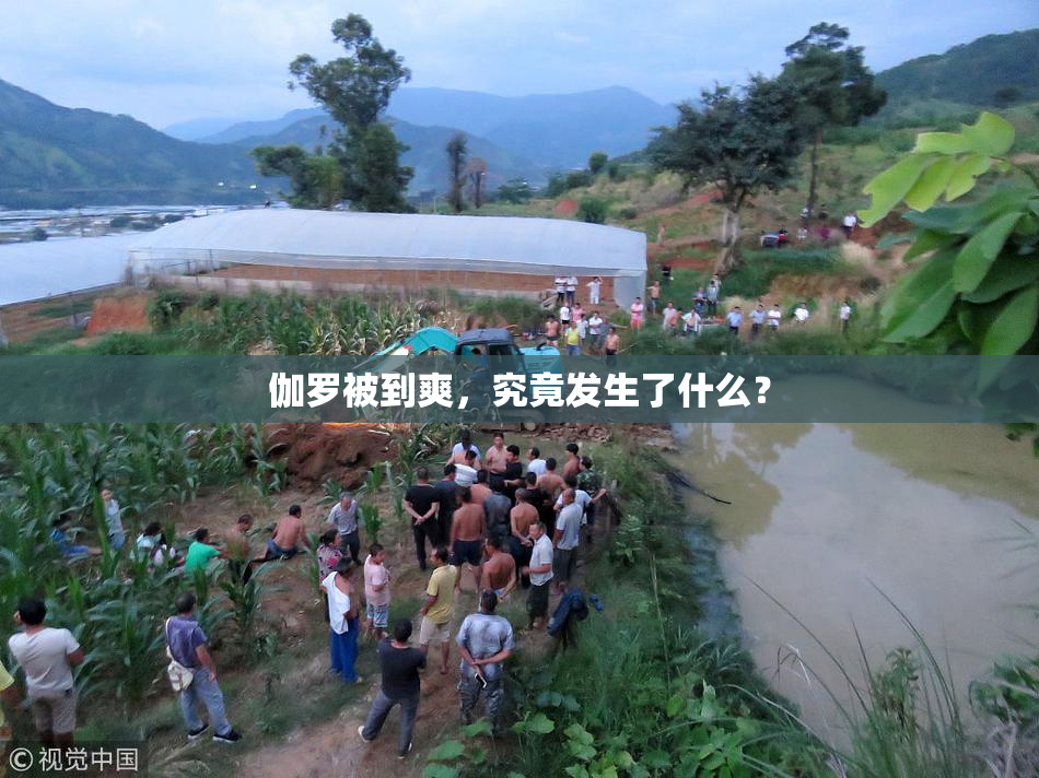 伽罗被到爽，究竟发生了什么？