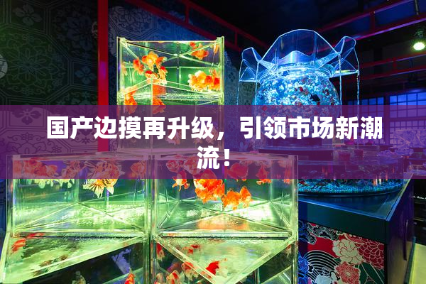 国产边摸再升级，引领市场新潮流！