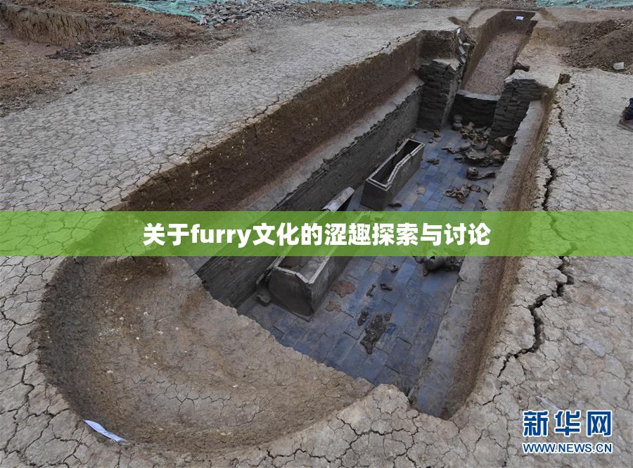 关于furry文化的涩趣探索与讨论