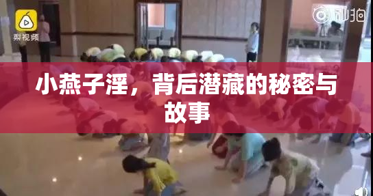 小燕子淫，背后潜藏的秘密与故事