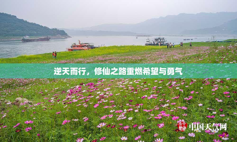 逆天而行，修仙之路重燃希望与勇气