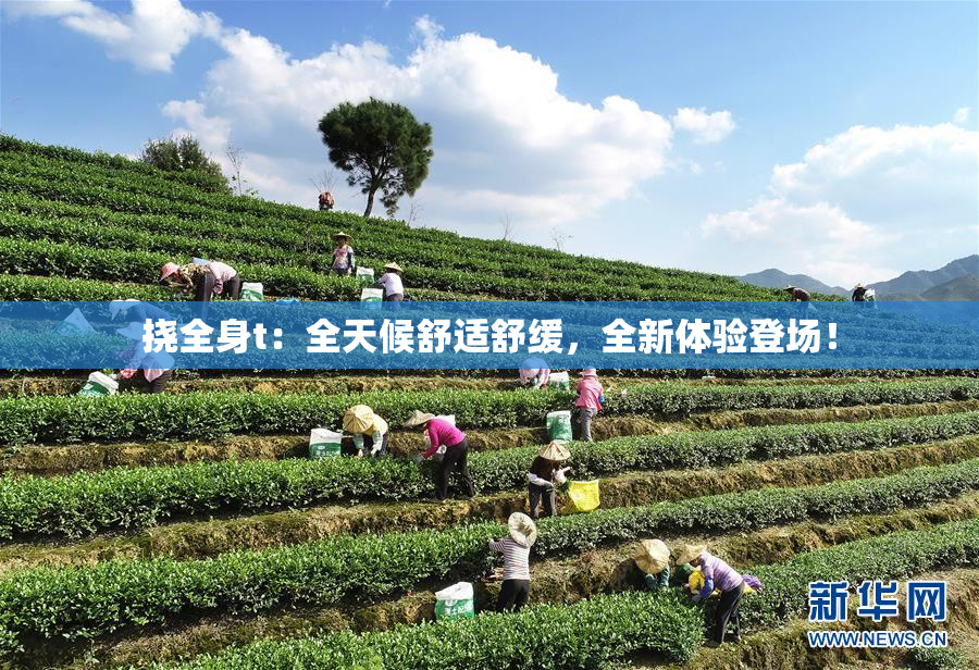 挠全身t：全天候舒适舒缓，全新体验登场！