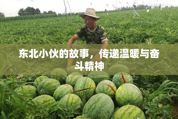 东北小伙的故事，传递温暖与奋斗精神