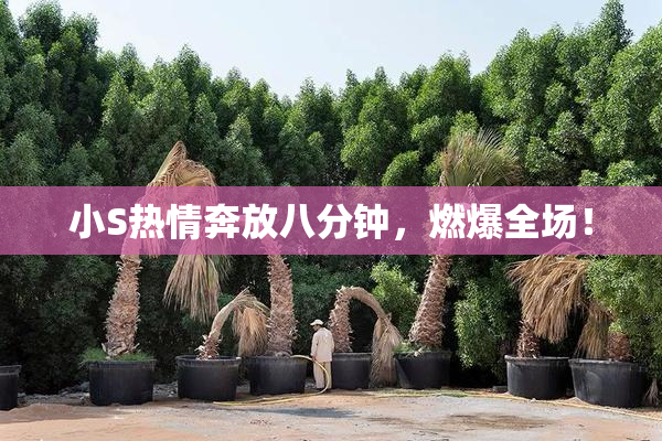 小S热情奔放八分钟，燃爆全场！