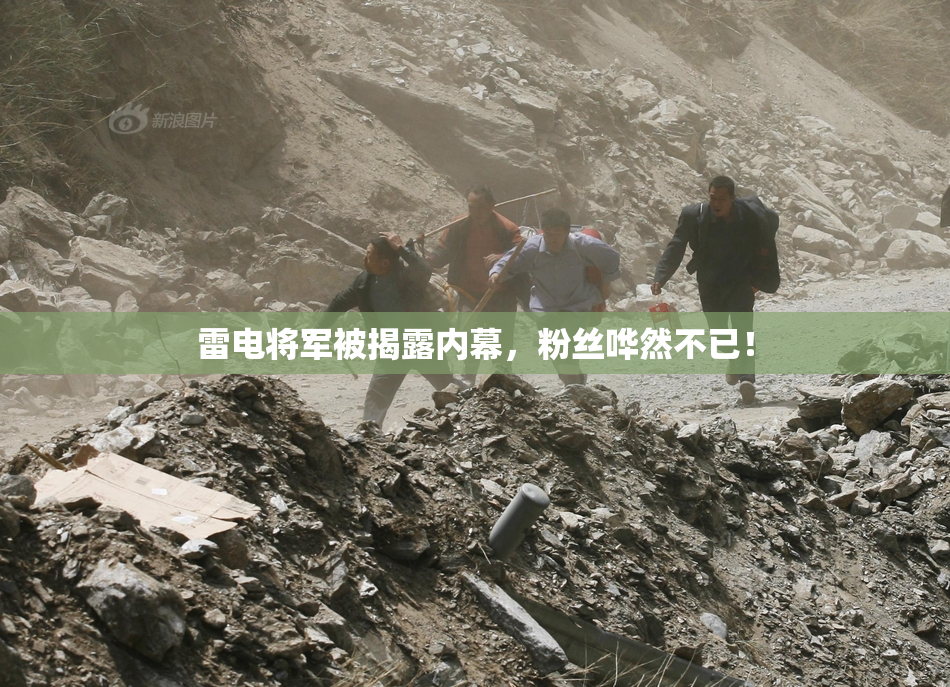 雷电将军被揭露内幕，粉丝哗然不已！