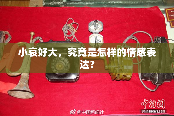 小哀好大，究竟是怎样的情感表达？