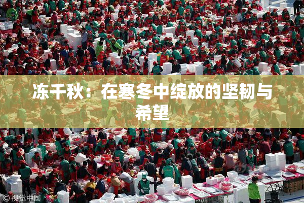 冻千秋：在寒冬中绽放的坚韧与希望