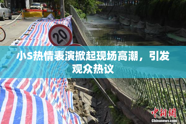 小S热情表演掀起现场高潮，引发观众热议