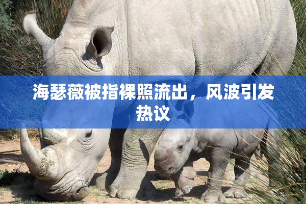 海瑟薇被指裸照流出，风波引发热议