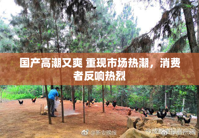 国产高潮又爽 重现市场热潮，消费者反响热烈
