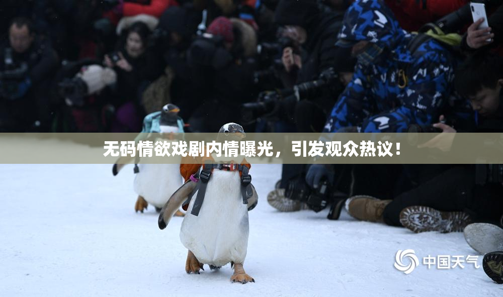 无码情欲戏剧内情曝光，引发观众热议！