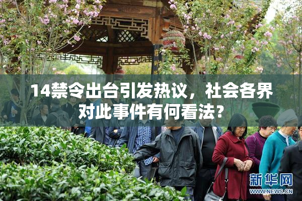 14禁令出台引发热议，社会各界对此事件有何看法？