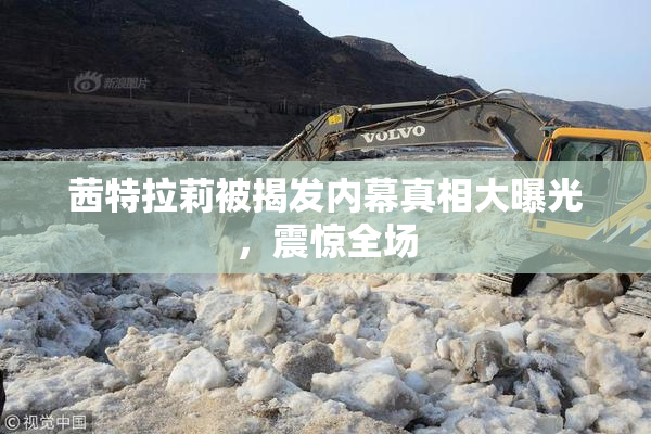 茜特拉莉被揭发内幕真相大曝光，震惊全场