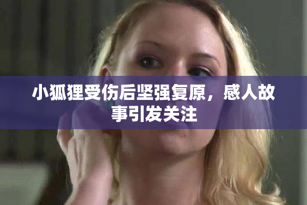 小狐狸受伤后坚强复原，感人故事引发关注