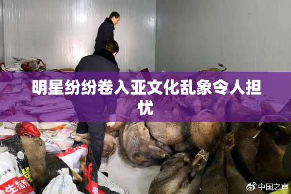 明星纷纷卷入亚文化乱象令人担忧