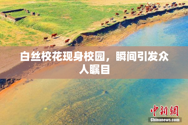 白丝校花现身校园，瞬间引发众人瞩目