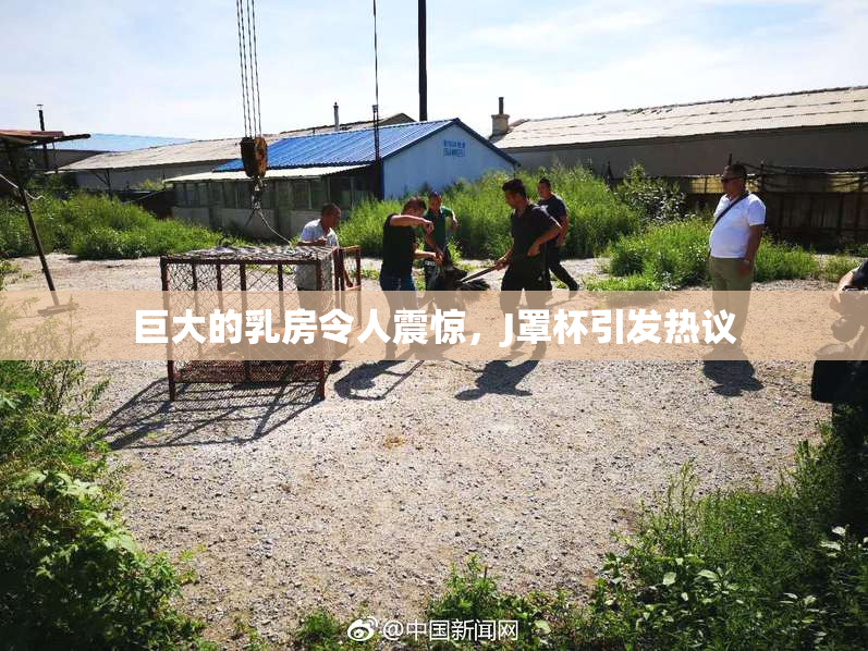 巨大的乳房令人震惊，J罩杯引发热议