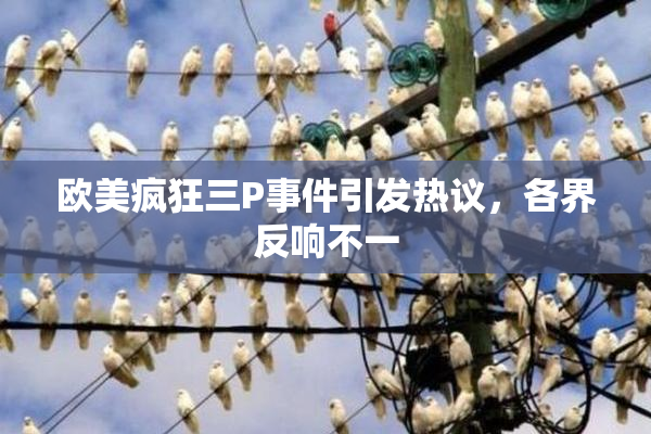 欧美疯狂三P事件引发热议，各界反响不一