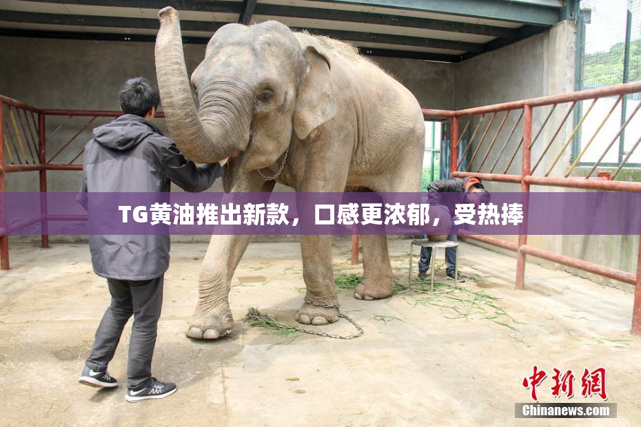 TG黄油推出新款，口感更浓郁，受热捧