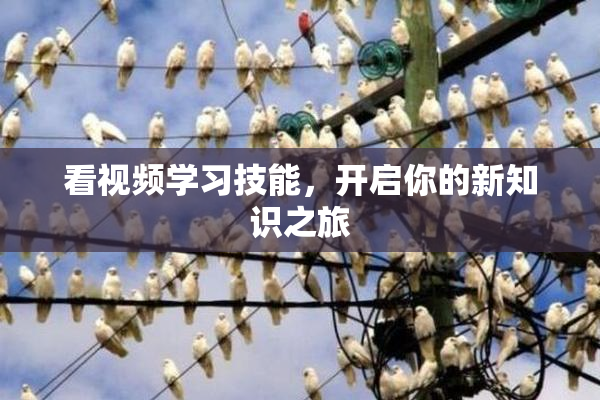 看视频学习技能，开启你的新知识之旅