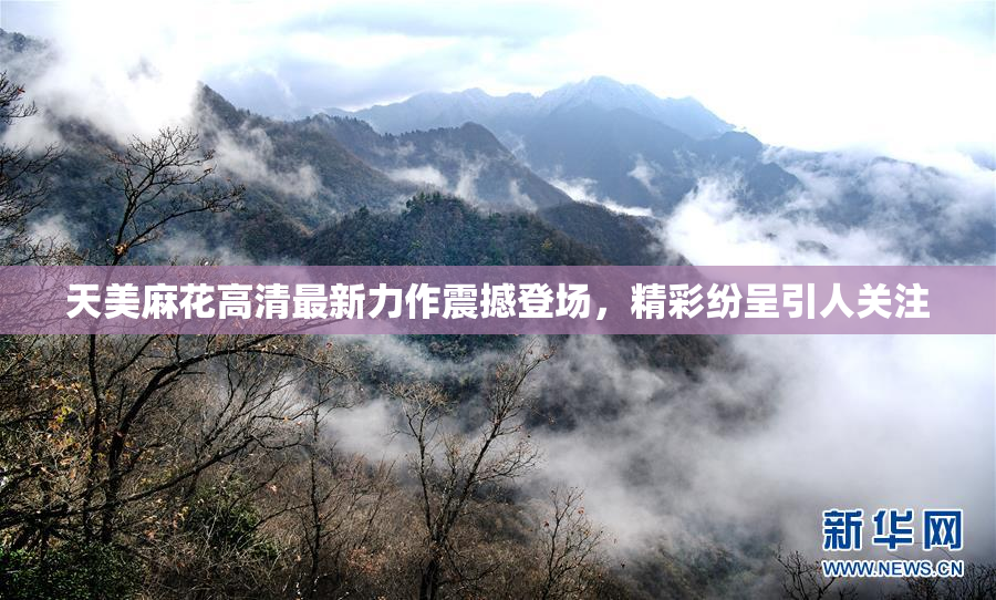 天美麻花高清最新力作震撼登场，精彩纷呈引人关注