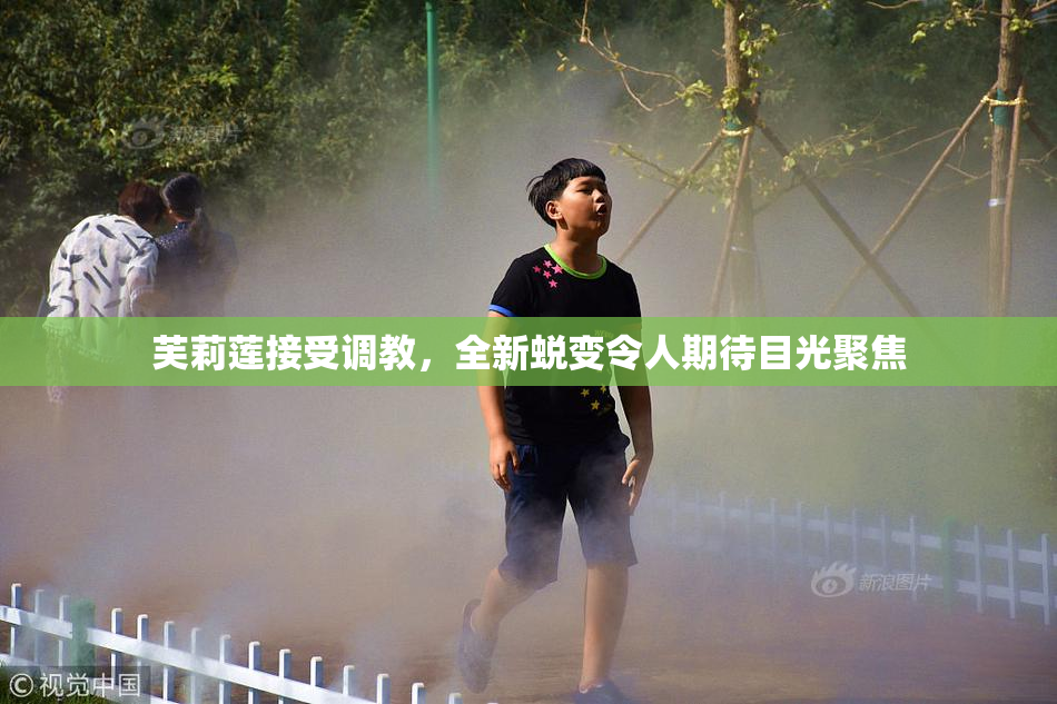 芙莉莲接受调教，全新蜕变令人期待目光聚焦
