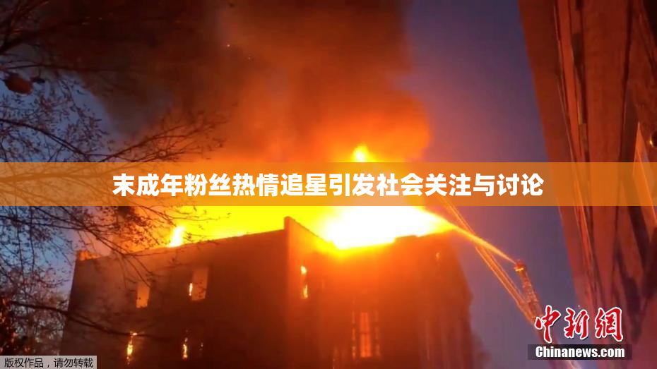 末成年粉丝热情追星引发社会关注与讨论