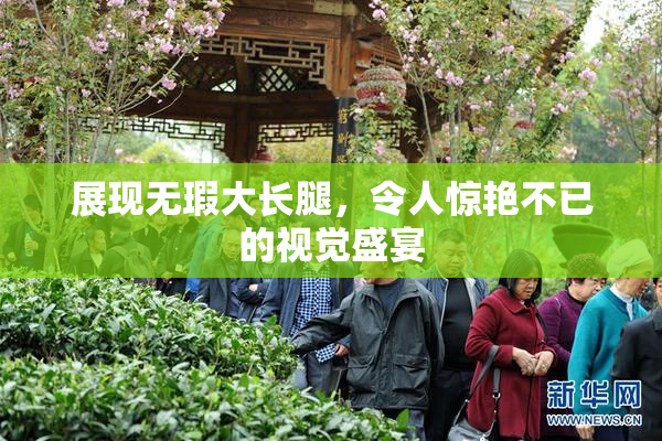 展现无瑕大长腿，令人惊艳不已的视觉盛宴