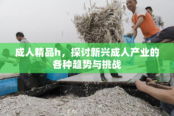 成人精品h，探讨新兴成人产业的各种趋势与挑战