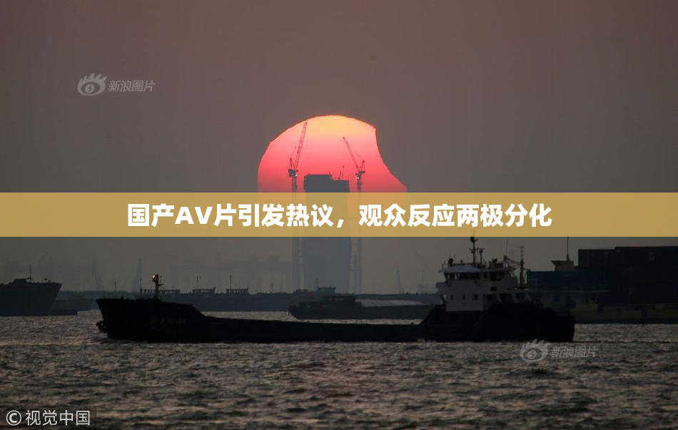 国产AV片引发热议，观众反应两极分化