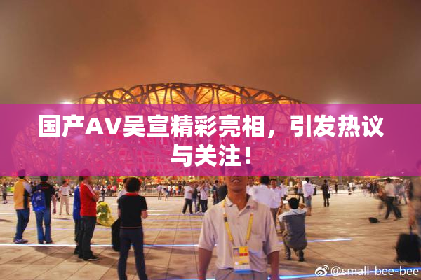 国产AV吴宣精彩亮相，引发热议与关注！