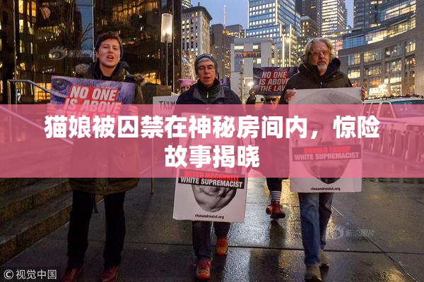 猫娘被囚禁在神秘房间内，惊险故事揭晓