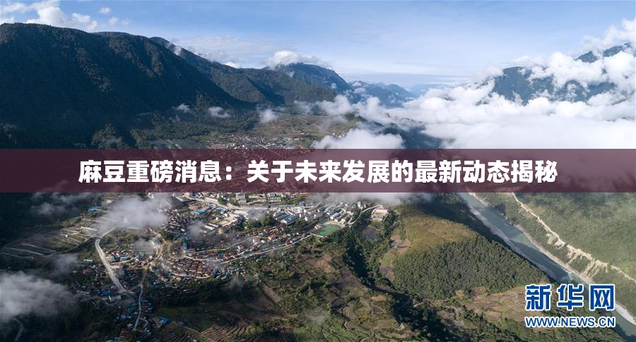 麻豆重磅消息：关于未来发展的最新动态揭秘