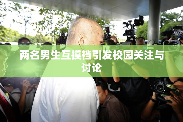 两名男生互摸裆引发校园关注与讨论