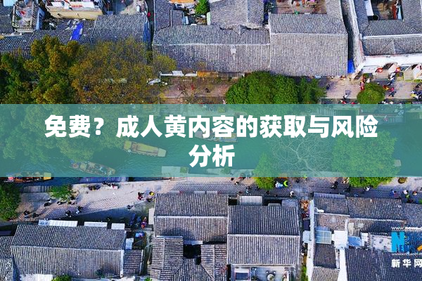 免费？成人黄内容的获取与风险分析