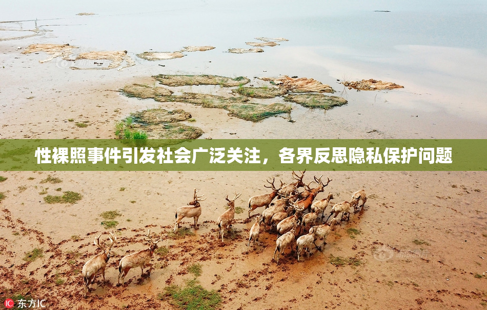性裸照事件引发社会广泛关注，各界反思隐私保护问题