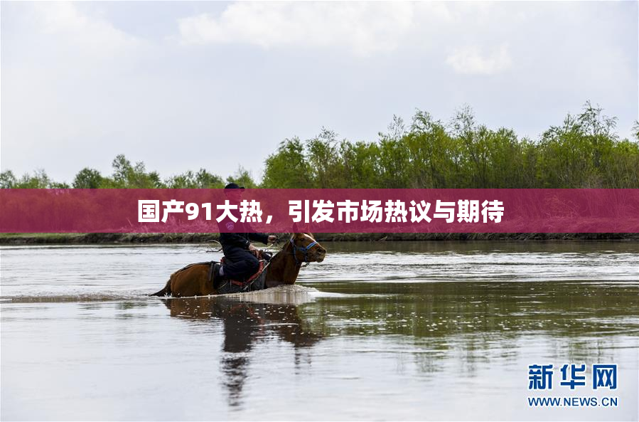 国产91大热，引发市场热议与期待