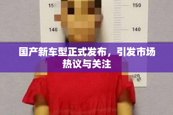 国产新车型正式发布，引发市场热议与关注