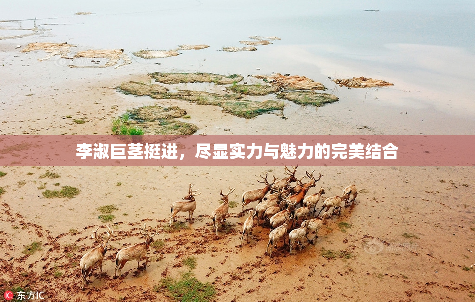 李淑巨茎挺进，尽显实力与魅力的完美结合