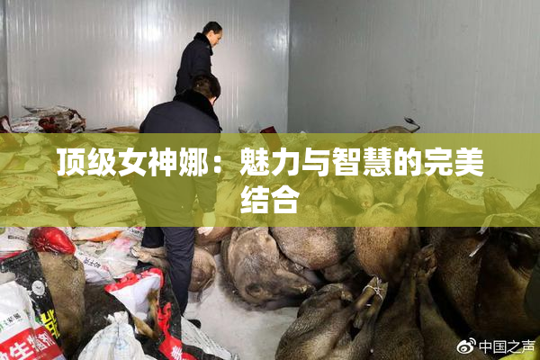 顶级女神娜：魅力与智慧的完美结合