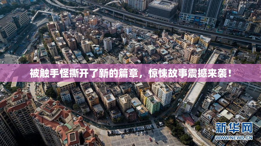被触手怪撕开了新的篇章，惊悚故事震撼来袭！