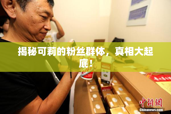 揭秘可莉的粉丝群体，真相大起底！