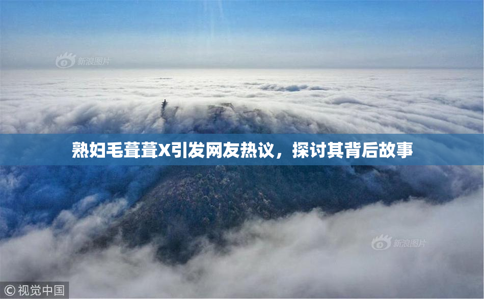 熟妇毛葺葺X引发网友热议，探讨其背后故事