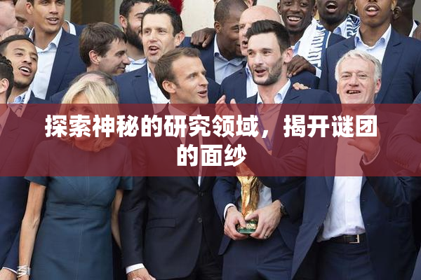 探索神秘的研究领域，揭开谜团的面纱
