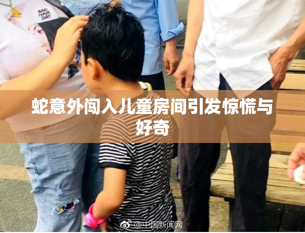 蛇意外闯入儿童房间引发惊慌与好奇