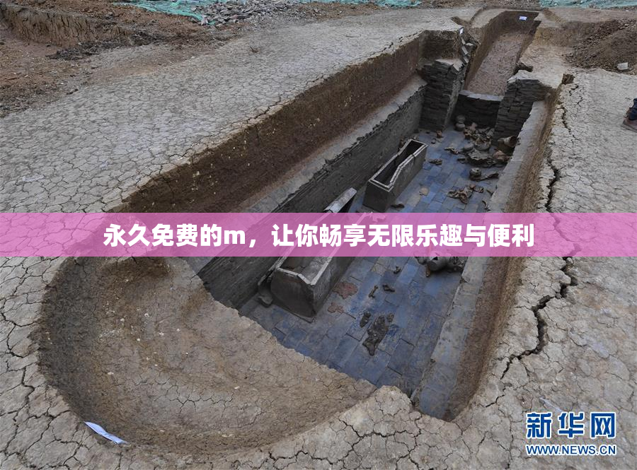 永久免费的m，让你畅享无限乐趣与便利