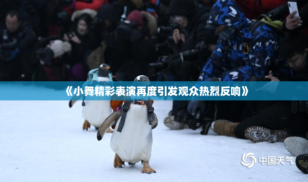 《小舞精彩表演再度引发观众热烈反响》