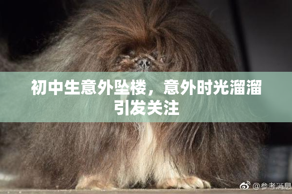 初中生意外坠楼，意外时光溜溜引发关注