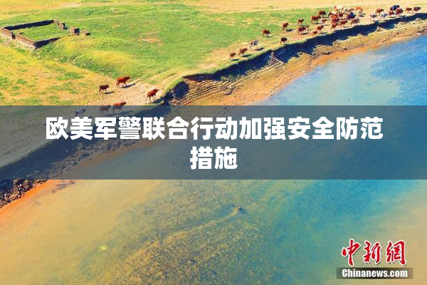 欧美军警联合行动加强安全防范措施